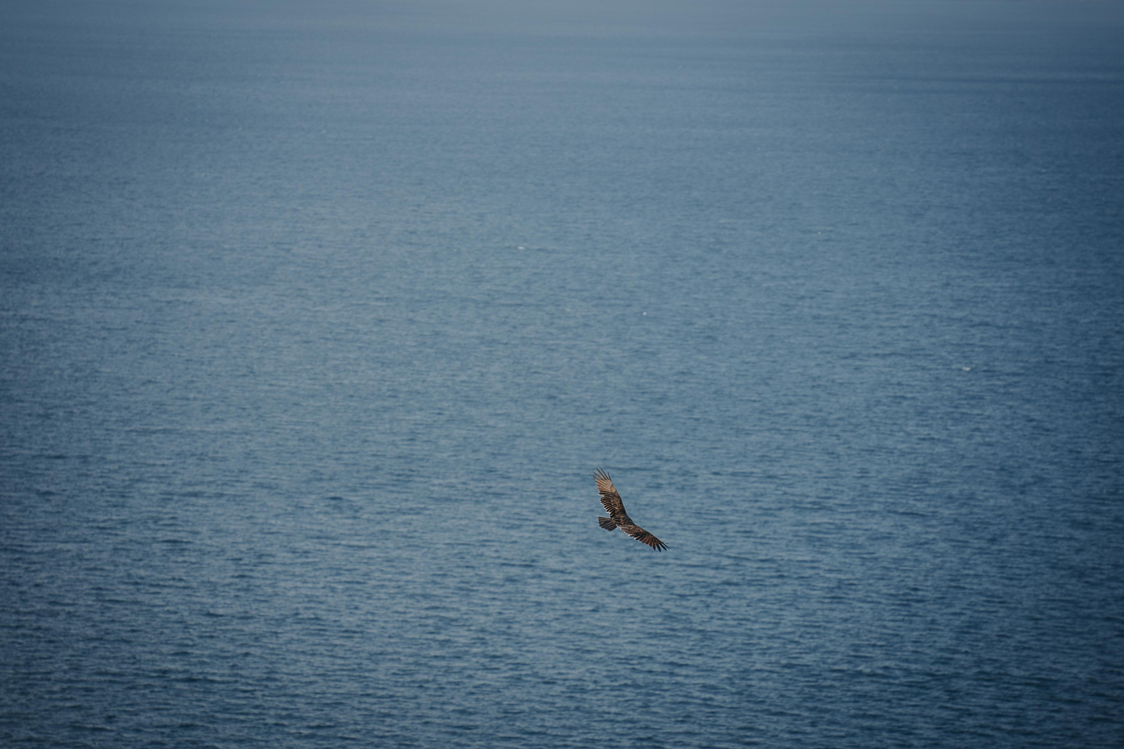 Healing bodywork session in natural surroundings