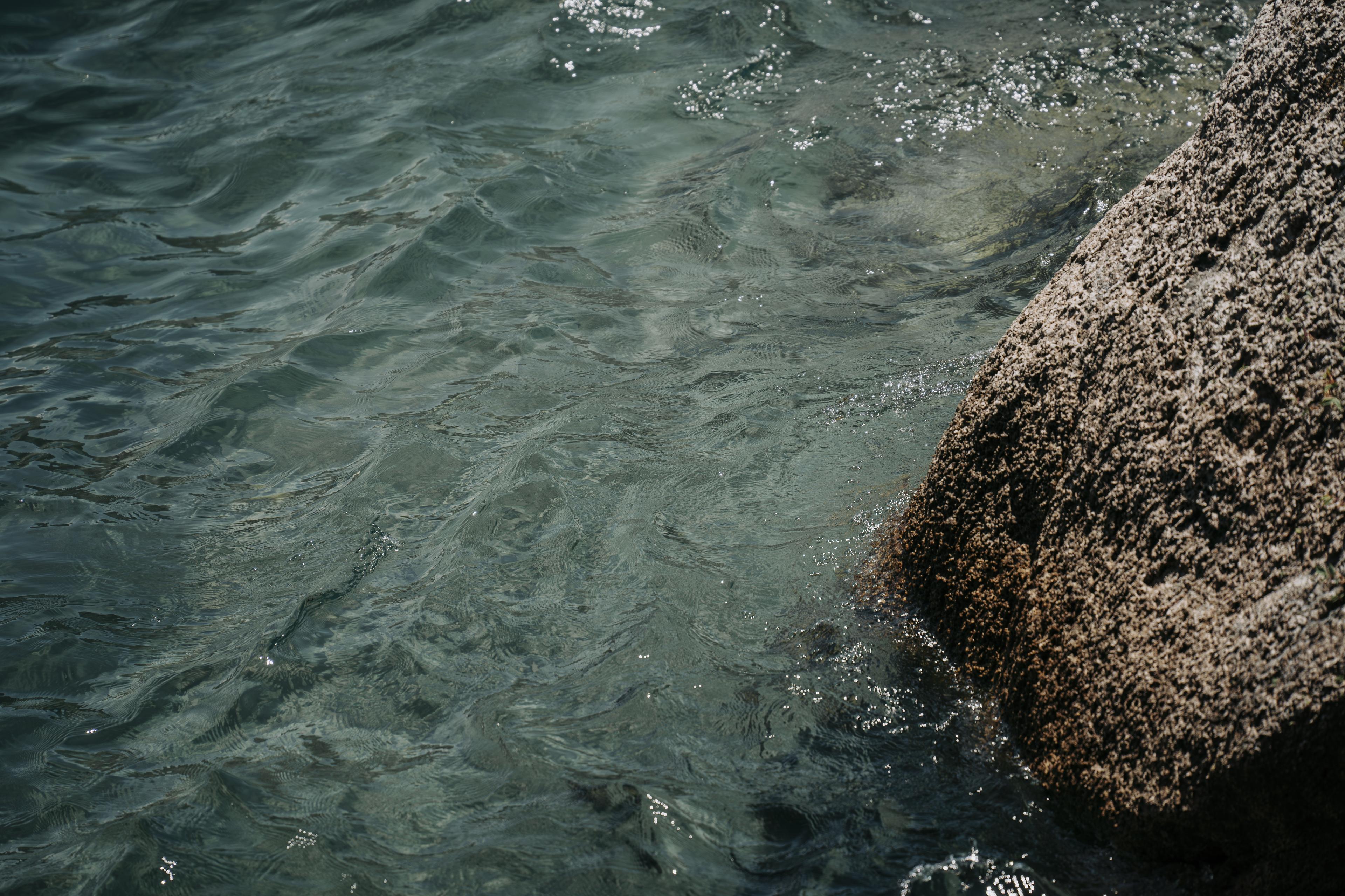 Peaceful moments in the sanctuary