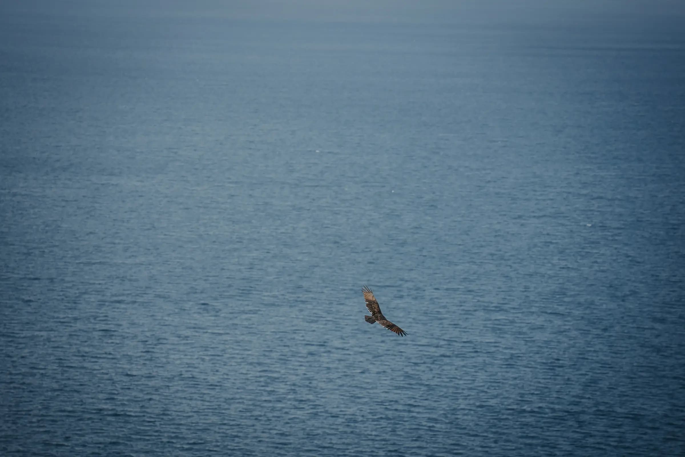 Restorative fascia therapy in natural surroundings