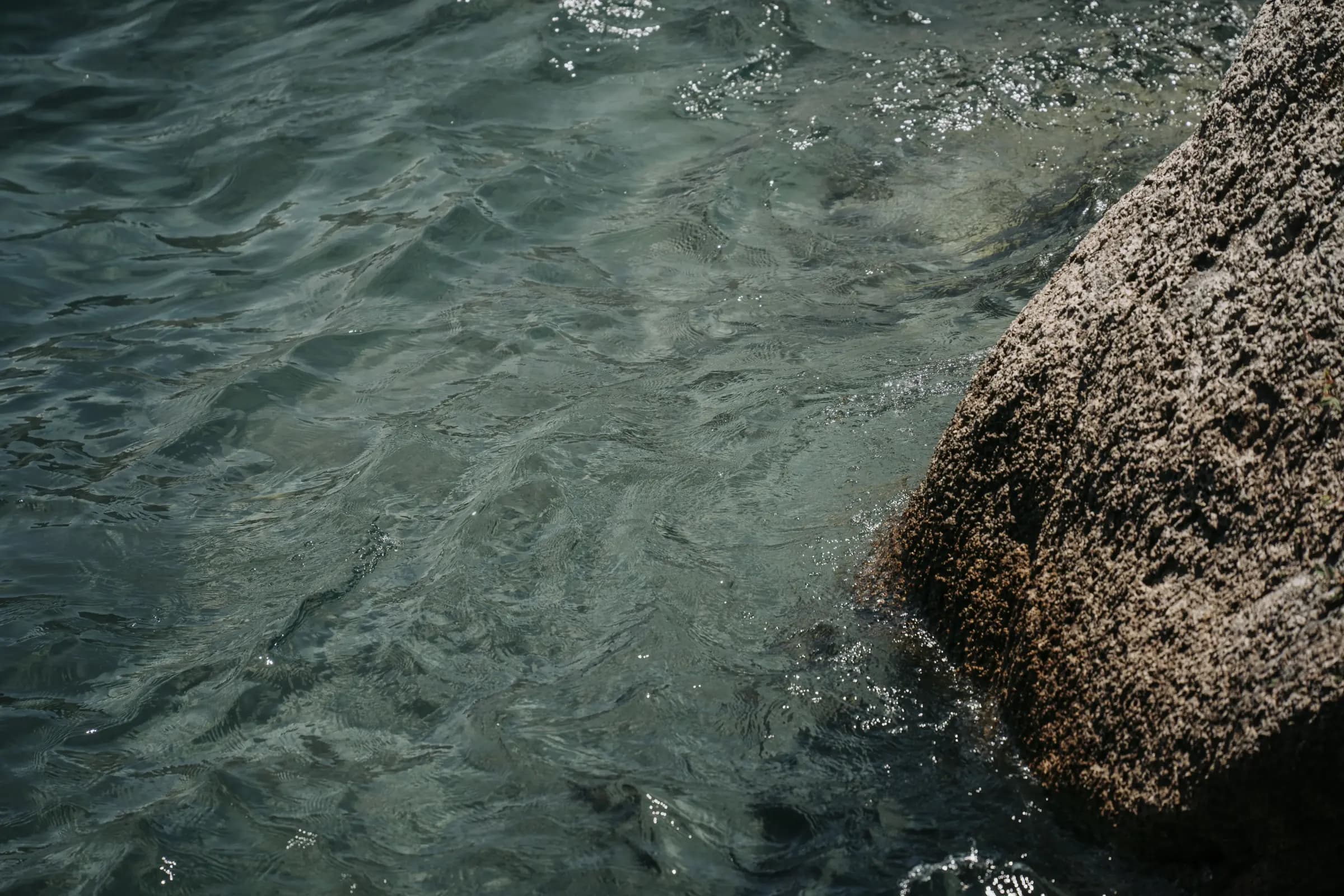 Peaceful moments in the sanctuary