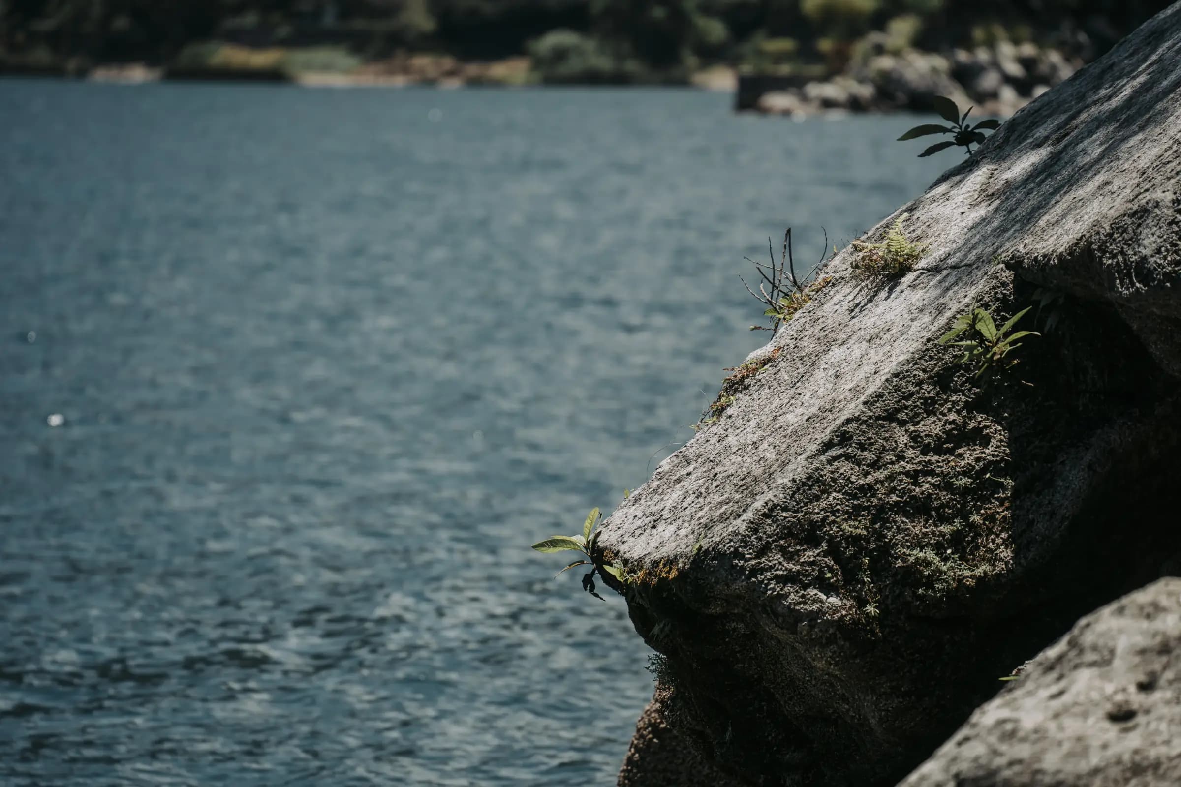 Finding peace in the present moment