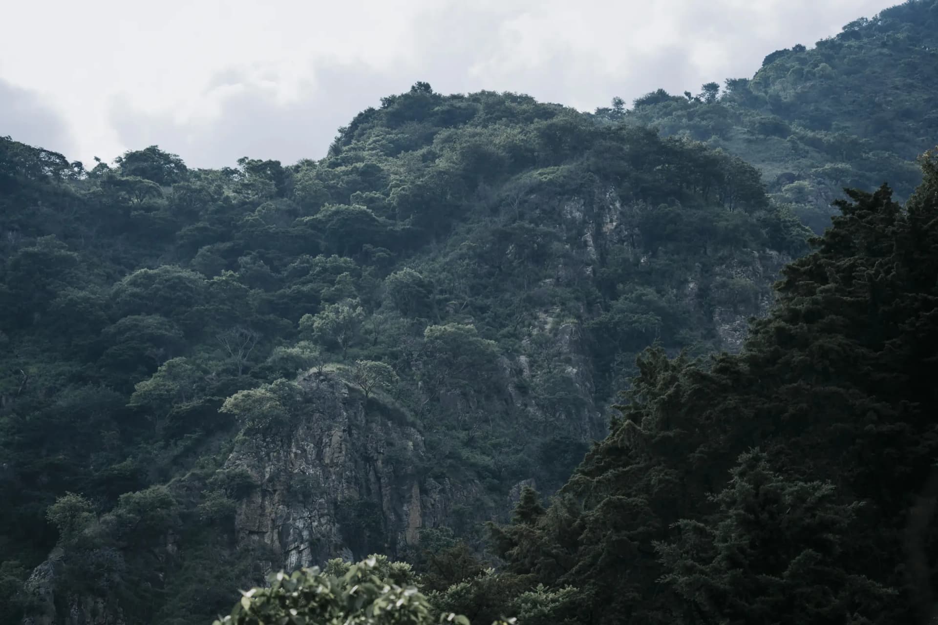 Guided nature hikes and outdoor adventures