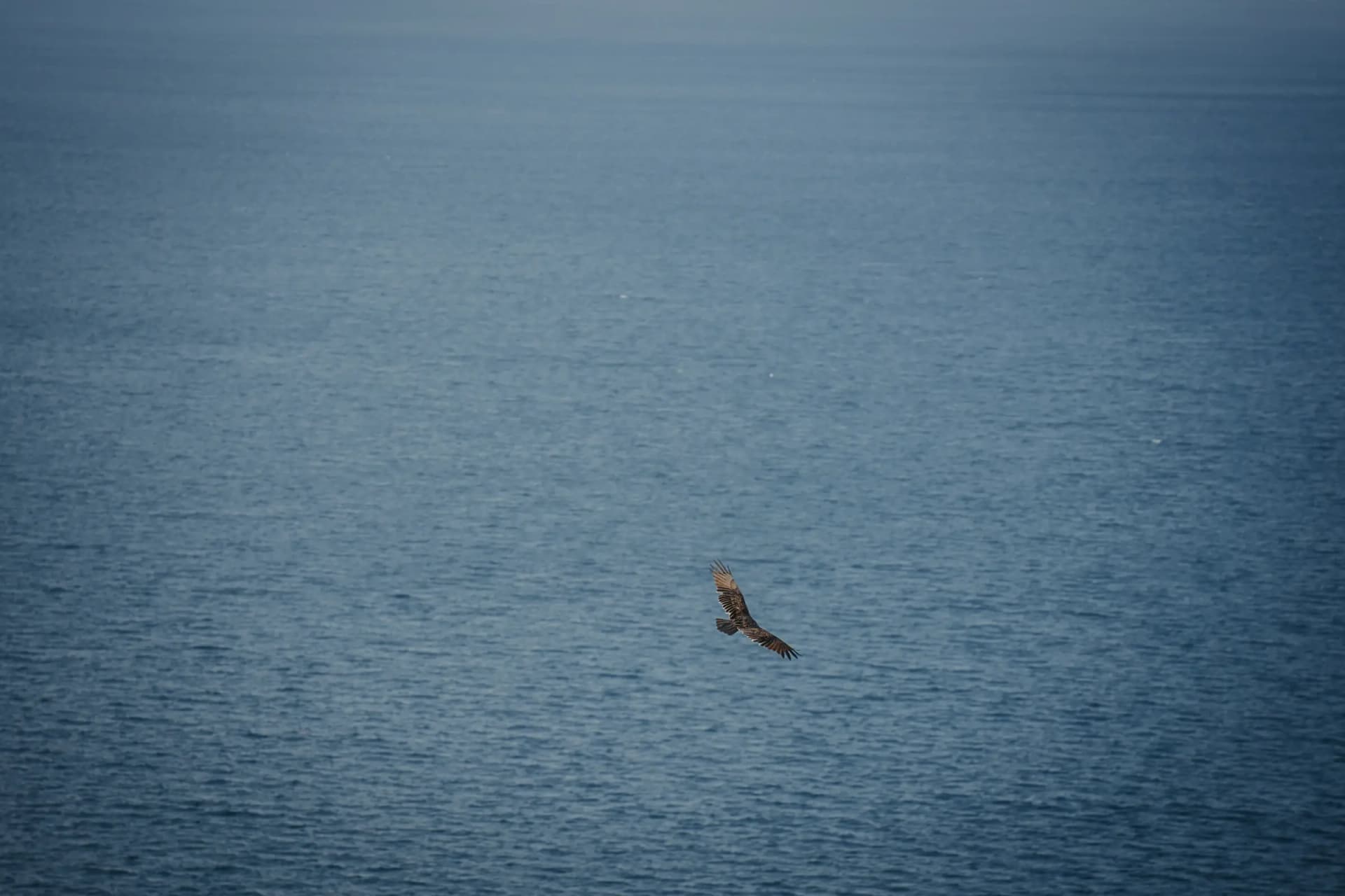 Restorative fascia therapy in natural surroundings