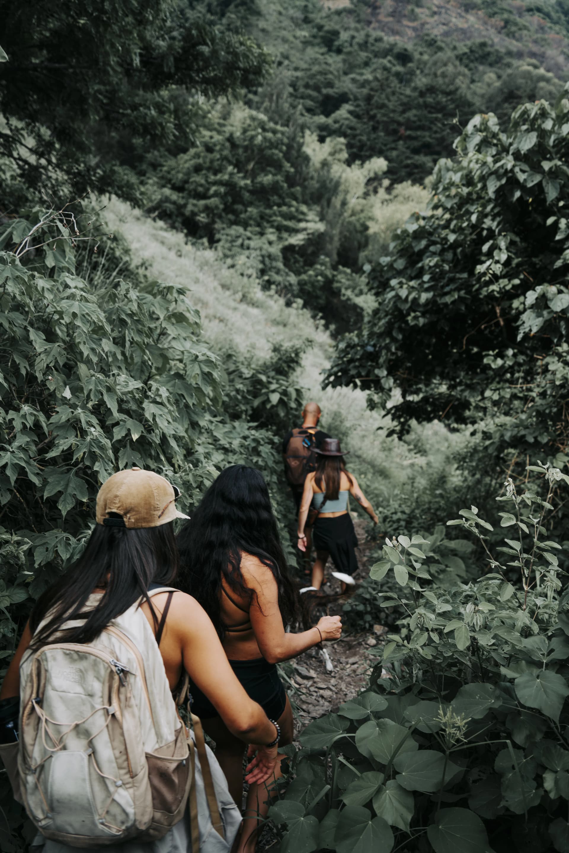 A guided hike on the jungle trails above Tzununá, Lake Atitlán