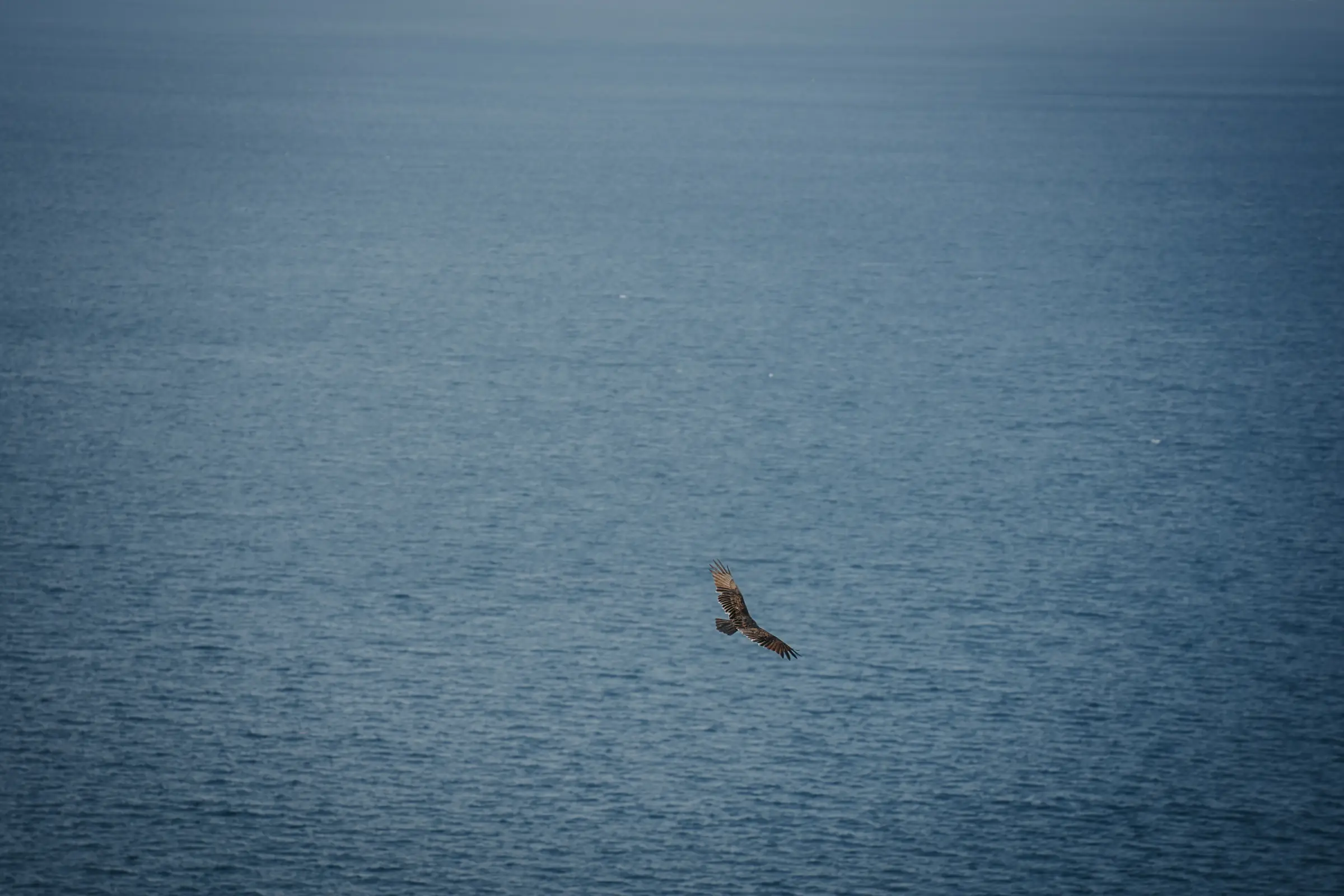 Wellness bodywork session at Loma de Atitlan with volcanic lake views