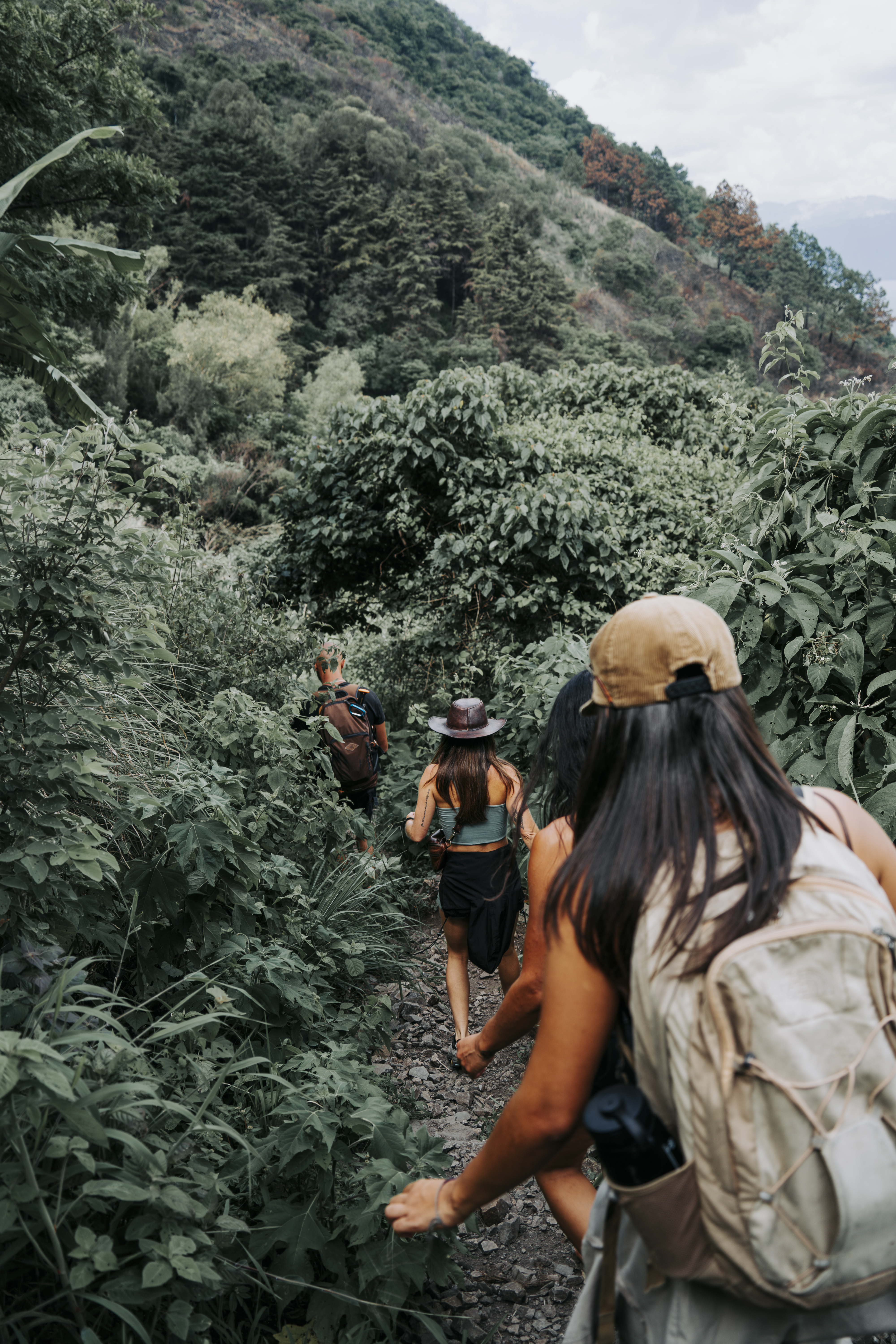 Hikers trekking through lush green cloud forest on the Acatenango volcano trail in Guatemala